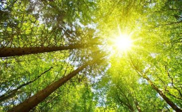 种太阳的教案通用5篇