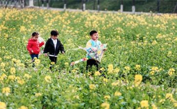 2024年踏青作文通用5篇