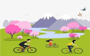 2024公司踏青活动方案8篇