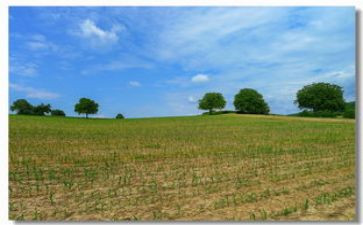 秋天田野作文500字作文7篇