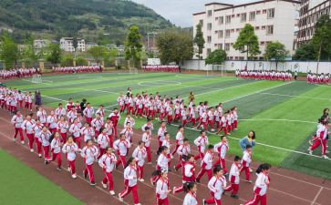 写体育活动策划8篇