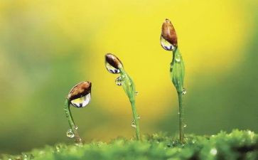 与神同行罪与罚的读后感8篇