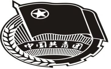 团组织委工作总结6篇