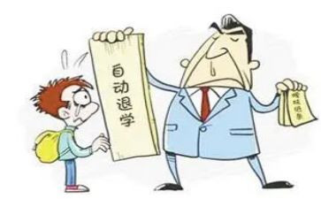 黑大退学申请书参考5篇