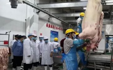 2023屠宰工作总结5篇