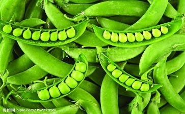 《豌豆上的公主》读后感7篇