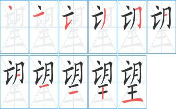作文仰望星空400字5篇