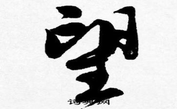 展望2023学生演讲稿通用8篇