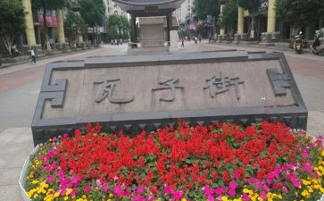 参观瓦子街心得体会5篇