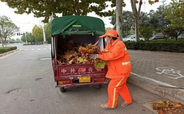 镇平环卫工作计划5篇