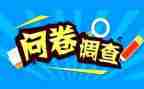 315问卷调查报告6篇
