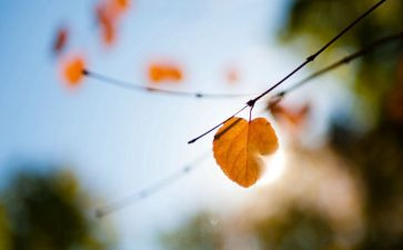 新学期我的打算作文7篇