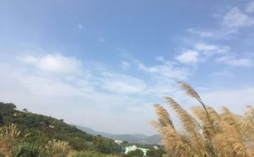我的一天教学反思6篇