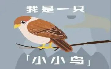 小鸟和大树的教案7篇
