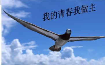 我的青春我做主大学生演讲稿5篇