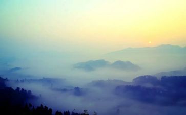 雾的读后感800字模板8篇