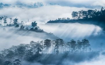 雾的读后感800字精选8篇