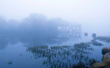 关于雾的作文500字推荐5篇