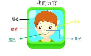 五官作文精选6篇