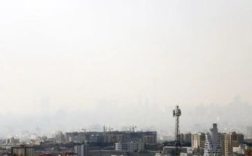 农村环境污染调查报告5篇