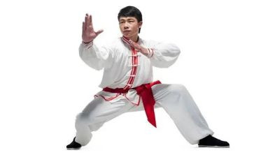 武术队活动策划7篇