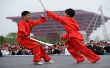 武术社活动策划5篇