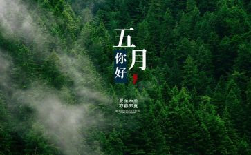 五月份活动总结7篇