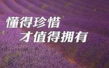 爱惜粮食小班教案8篇