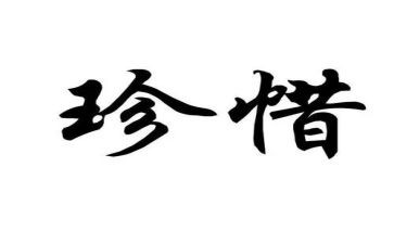 珍惜的演讲稿8篇