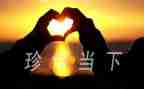 珍惜水资源的作文600字作文5篇