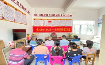 发挥先锋模范心得体会5篇