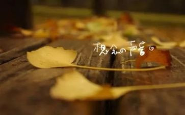 想念母亲的作文7篇