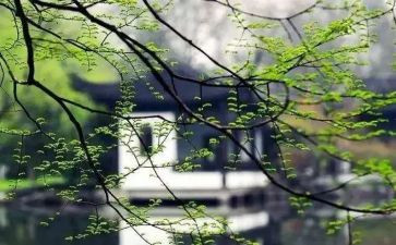 想起这件事我就作文400字5篇