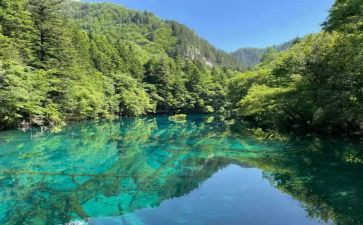 藤野先生读后感8篇