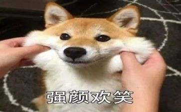 小桔灯的笑读后感精选6篇