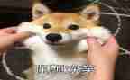 能让同学笑的演讲稿优质8篇