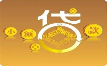 小贷公司的工作总结5篇