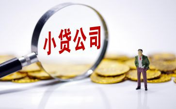 小贷公司工作总结8篇