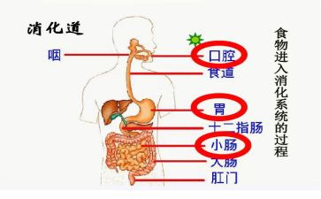 消化科个人总结6篇