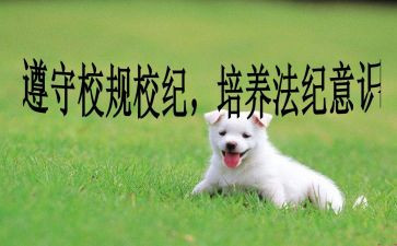 校纪校规的心得体会8篇