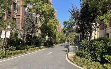 小区物业活动方案策划5篇