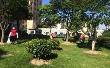 小区物业站工作总结报告7篇