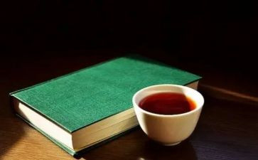 小说读后感范文7篇
