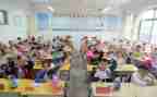 区小学教研工作计划精选5篇