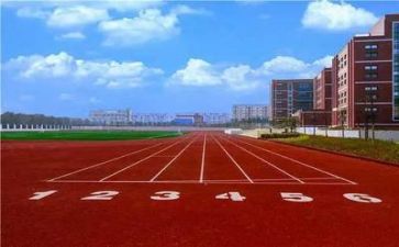 校园安全人人有责演讲稿7篇