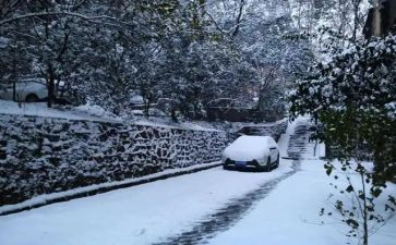 下雪了幼儿园教案优秀6篇