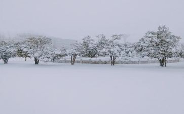 下雪天的安全教案8篇