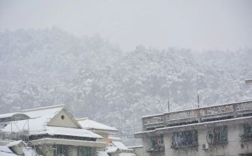 一年级写下雪的作文6篇