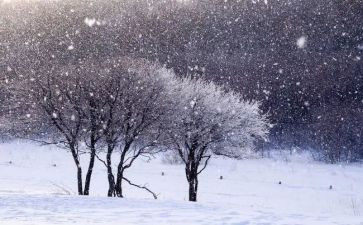 下雪天幼儿园教案6篇