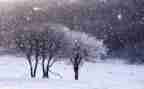下雪天幼儿园教案6篇